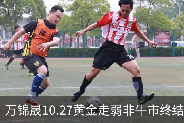 万锦晟10.27黄金走弱非牛市终结，11月或将有反弹出现！