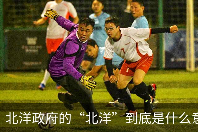 北洋政府的“北洋”到底是什么意思？不是北方洋人的意思